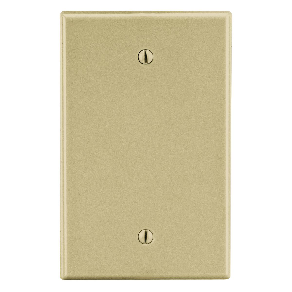 Mayer-DDS-Wallplate, Blank Box Mount-1
