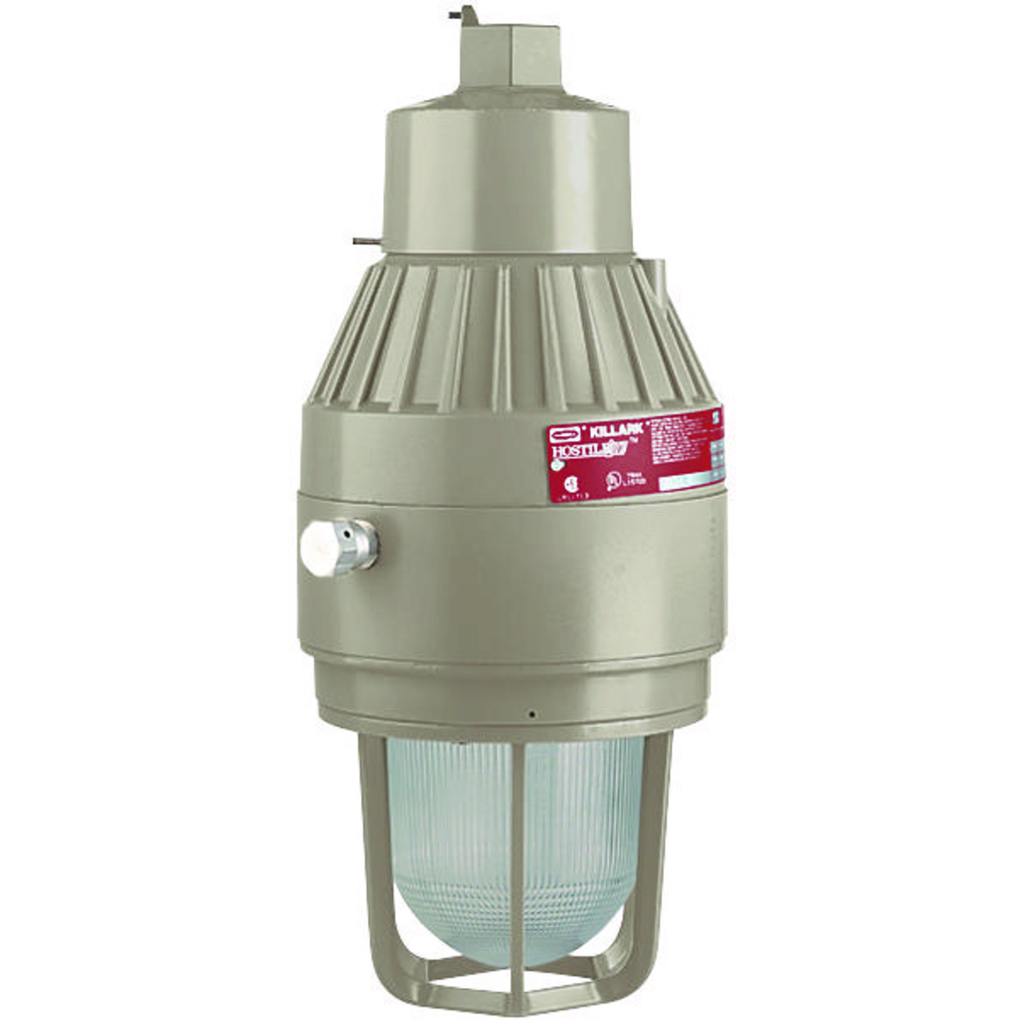 Product image for Killark EEQ4242E10A2GG Emergency 42WN42WE 120/277V 3/4" Pendant with Globe and Guard