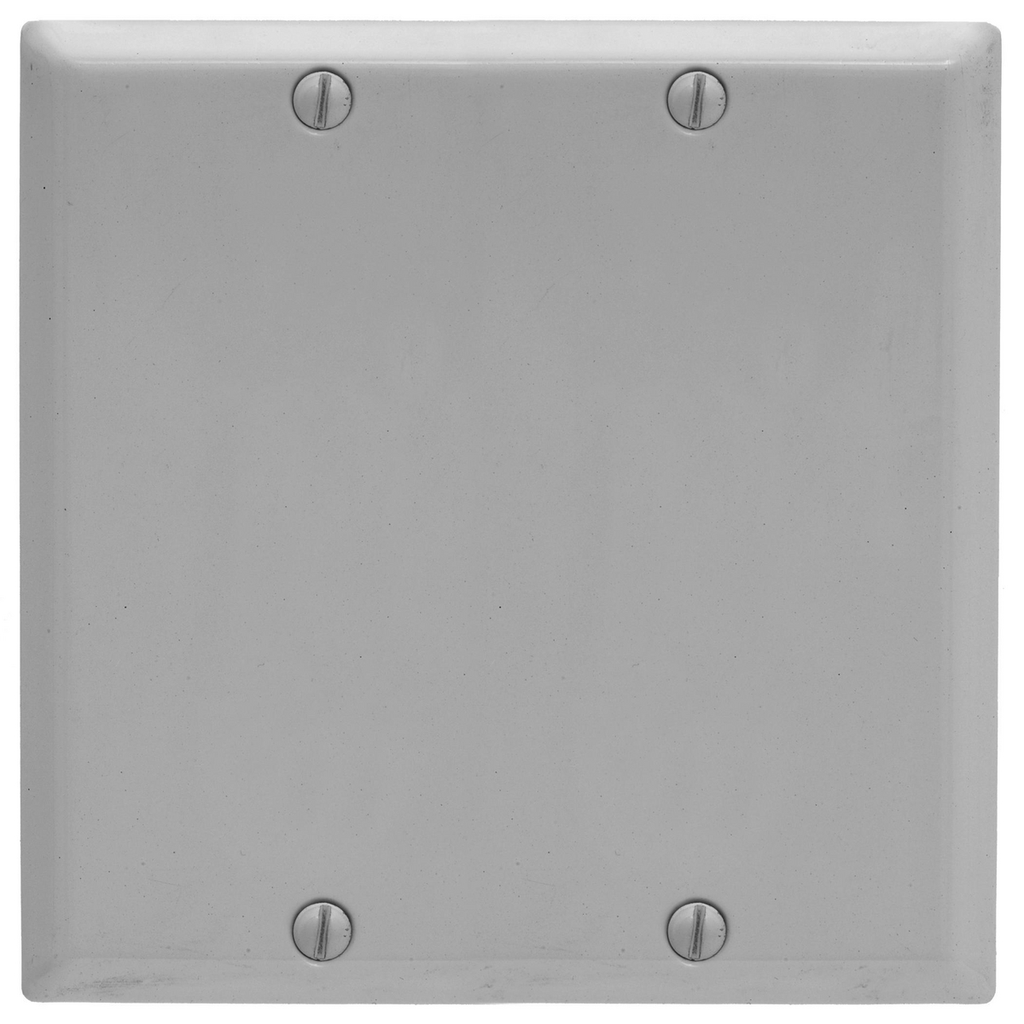 Product image for HWDK SP24BG PLATE, 2-G BLANK, BOX M