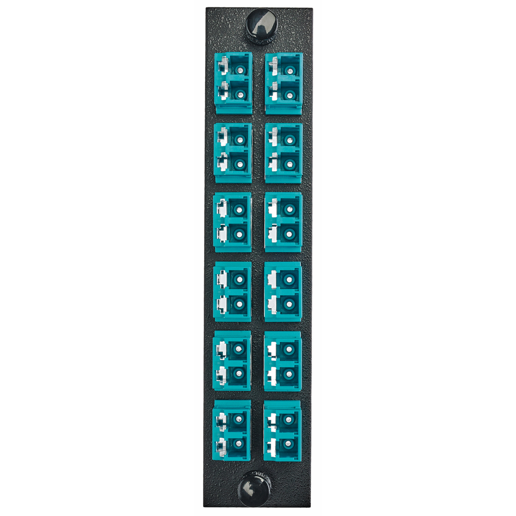 Product image for HPW FSPLCDM12AQ FBR, ADAPT PNL,24P,