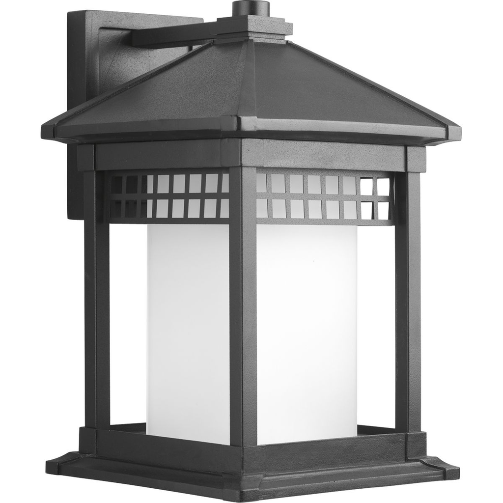 Product image for Progress P6002-31 Merit Collection One-Light Wall Lantern