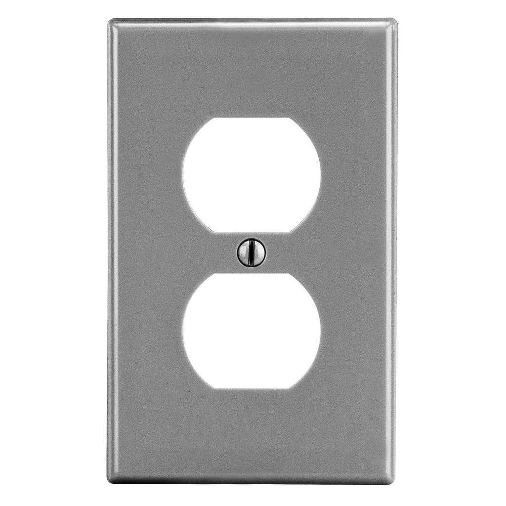 Mayer-DDS-Wallplate, Duplex-1