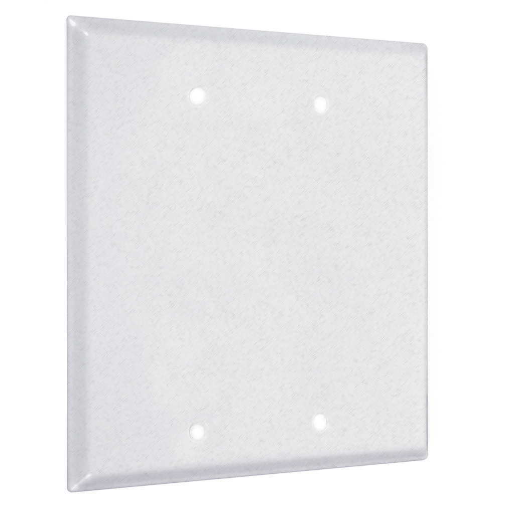 Product image for RACO WTW-BB 2G STANDARD (2) BLANK W