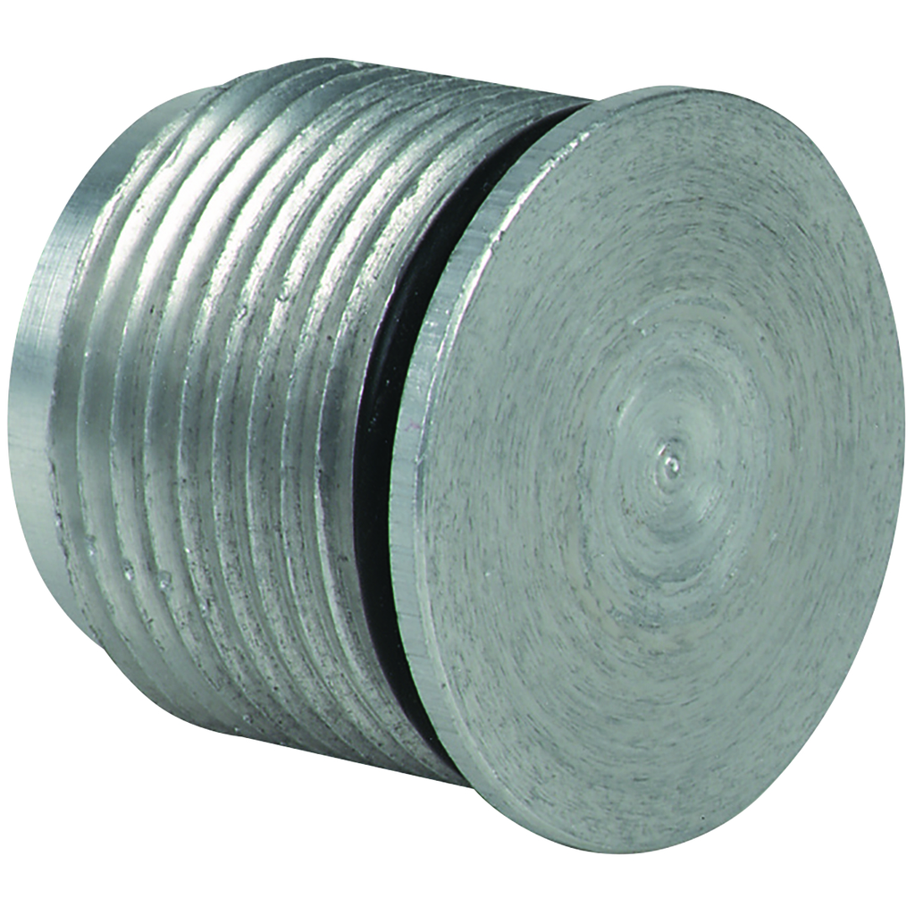 Product image for Killark GO-8177 G Series - Hole Plug - 3/4" NPSM