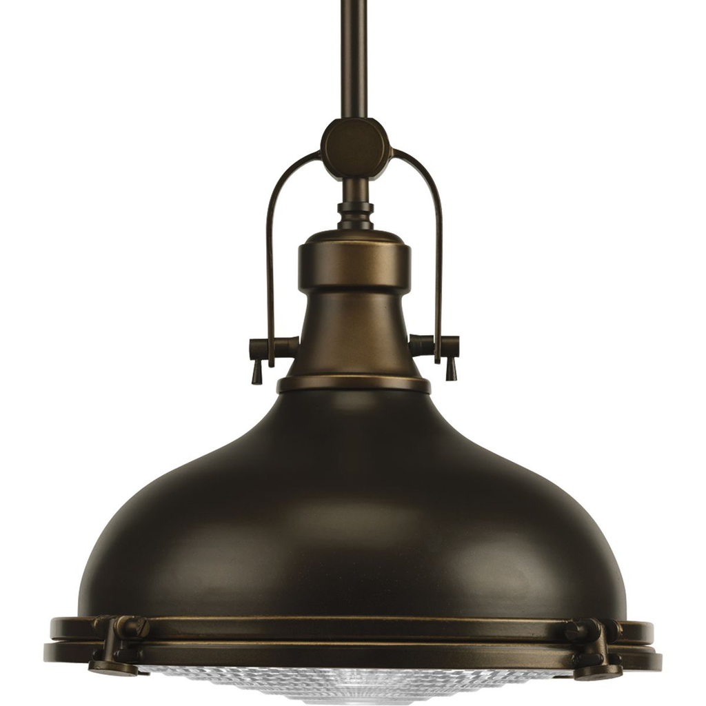 Product image for Progress P5188-108 Fresnel Lens Collection One-Light Oil Rubbed Bronze Fresnel Glass Coastal Pendant Light