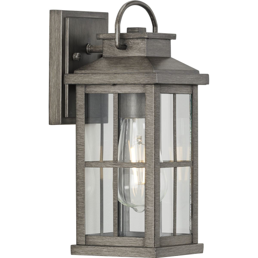 Product image for Progress P560264-103 Williamston Collection One-Light Antique Pewter and Clear Glass Transitional Style Small Outdoor Wall Lantern