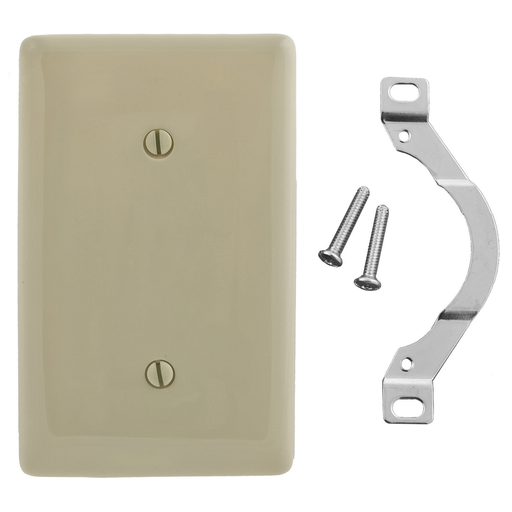 1-Gang Wallplate, Blank, Strap Mount