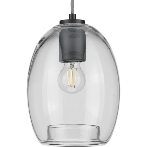 Product image for Progress P500159-143 Caisson Collection One-Light Graphite Clear Glass Global Pendant Light
