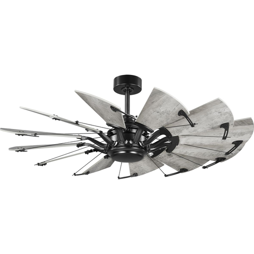 Product image for Progress P250065-31M Springer Collection 52-Inch Matte Black 12-Blade DC Motor Windmill Ceiling Fan