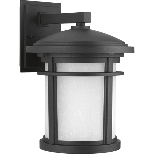Product image for Progress P6085-3130K9 Wish Collection One-Light Medium LED Wall Lantern
