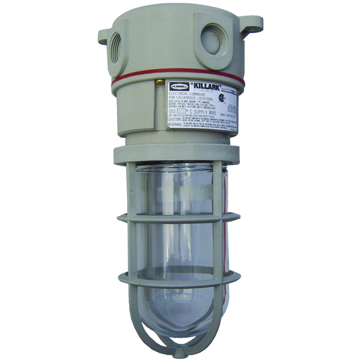 Product image for Hubbell Electrical Systems NV2IG15XSG 150 W Incandescent Lighting Fixture with Globe and Guard