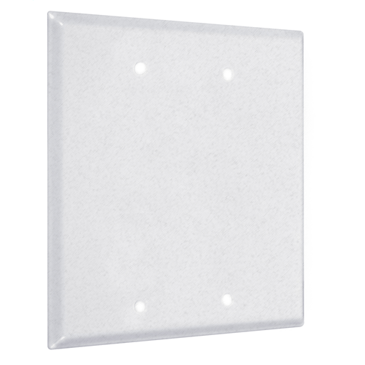 Product image for RACO WTW-BB 2G STANDARD (2) BLANK W