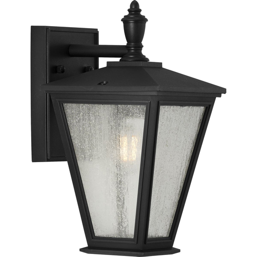 Product image for Progress P560166-031 Cardiff Collection One-Light Small Wall Lantern with DURASHIELD