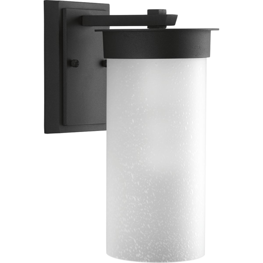 Product image for Progress P5625-31 Hawthorne Collection One-Light Medium Wall Lantern