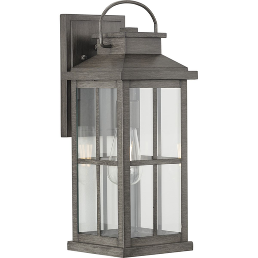 Product image for Progress P560266-103 Williamston Collection One-Light Antique Pewter and Clear Glass Transitional Style Large Outdoor Wall Lantern