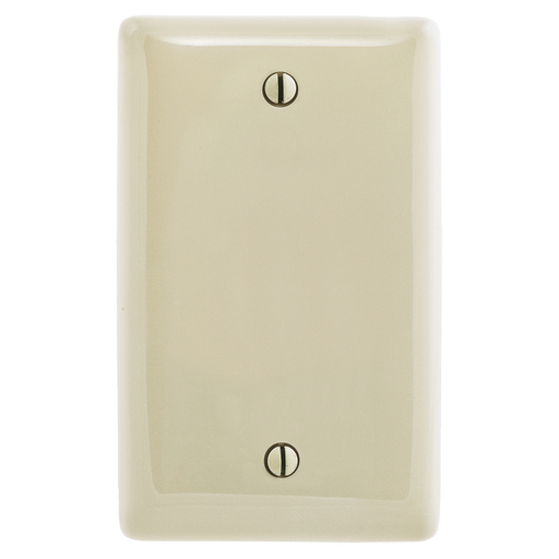 Mayer-DDS-1-Gang Wallplate, Blank, Box Mount-1