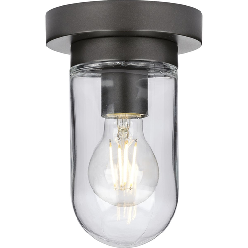 Product image for Progress P350145-143 Signal Collection One-Light Flush Mount