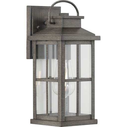 Product image for Progress P560265-103 Williamston Collection One-Light Antique Pewter and Clear Glass Transitional Style Medium Outdoor Wall Lantern
