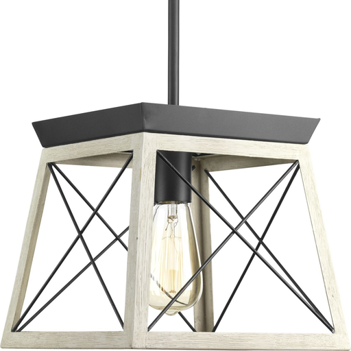Product image for Progress P500041-143 Briarwood Collection One-Light Graphite Coastal Mini-Pendant Light