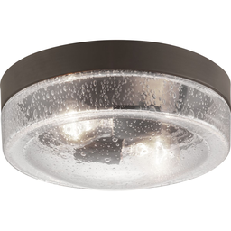 Progress P550042-129 Weldon Collection Two-Light Flush Mount