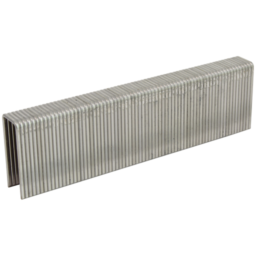 16GA 1/2" Medium Crown Staples - 304 Stainless Steel