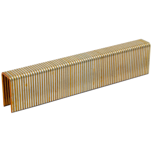 16GA 1/2" Medium Crown Staples - Galvanized