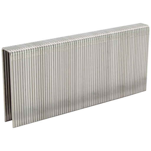 16GA 1/2" Medium Crown Staples - 304 Stainless Steel