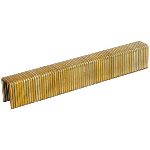 16GA 1/2" Medium Crown Staples - Galvanized
