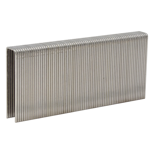 16GA 1/2" Medium Crown Staples - 304 Stainless Steel