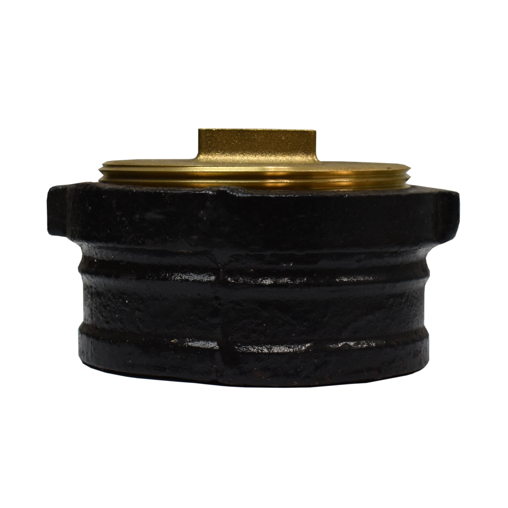 4" Cast Iron No Hub R w/ 3-1/2" Raised Head Brass Plug