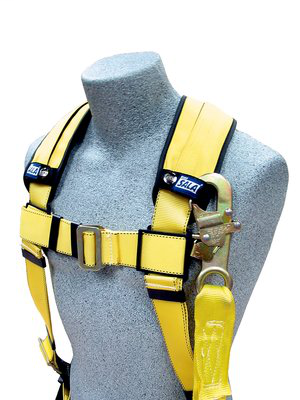 dds-5009956