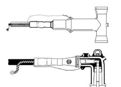 DDS_213462