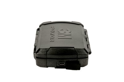 DDS_34063