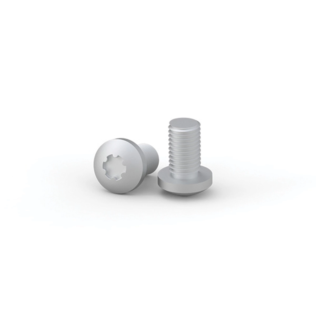 Product image for NVENT HOF CNS812 Screw M8x12 for ca