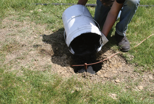 Image thumbnail 2