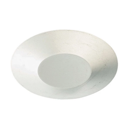 CAD B117B50 DISK,STL,1 INCH,50 PIECES