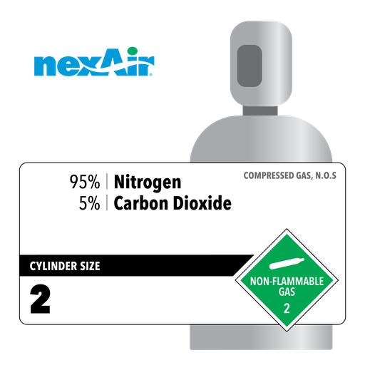 95% Nitrogen, 5% Carbon Dioxide, 2, Medical, 208.8, Steel (S), CGA 500