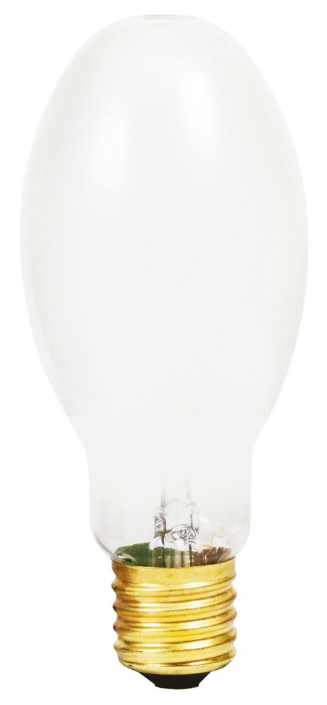 Mayer-DDS-MH175/C/U 12PK-1
