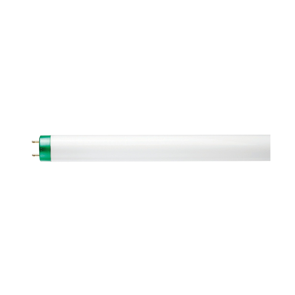 Mayer-DDS-F32T8/TL941/ALTO 30PK-1