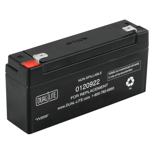 Product image for DUAL* 0120922 REPL-BATTERY/LTURW3