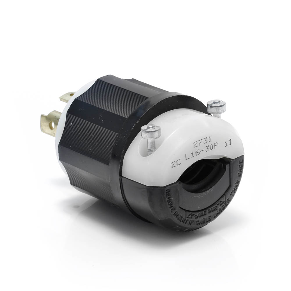 LEV 2731
