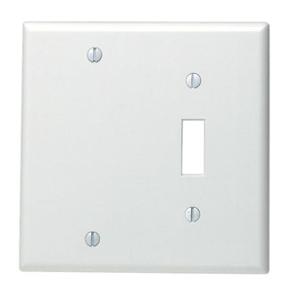 Product image for Leviton 88006 4.56 x 0.22 x 4.5 Inch 2-Gang Smooth White Thermoset Box Mount Standard Combination Wallplate