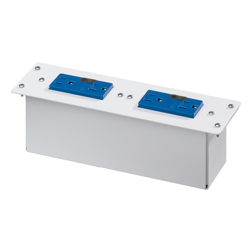AC Power Surge Protective Module (two duplex blue receptacles)