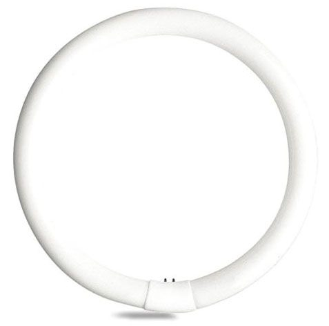 33774, Circline Fluorescent Lamp