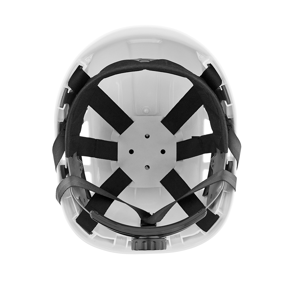 JAC20920