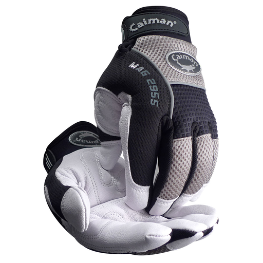 CAI2955-L