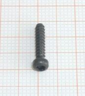 SCREW PT 2,5X12 DELTA SW