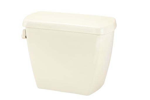 Avalanche 1.6gpf Tank 12" Rough-in Biscuit