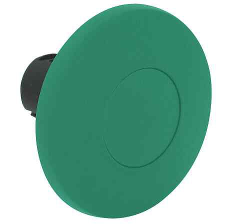 Product image for A-B 800FP-MM66PX10 22mm Momentary P