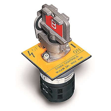 Multi Key Rotary Switch - Panel Mounted, Standard Key Code Labeling, 2 N.O. & 2 N.C. Contacts, 20 Amp Current